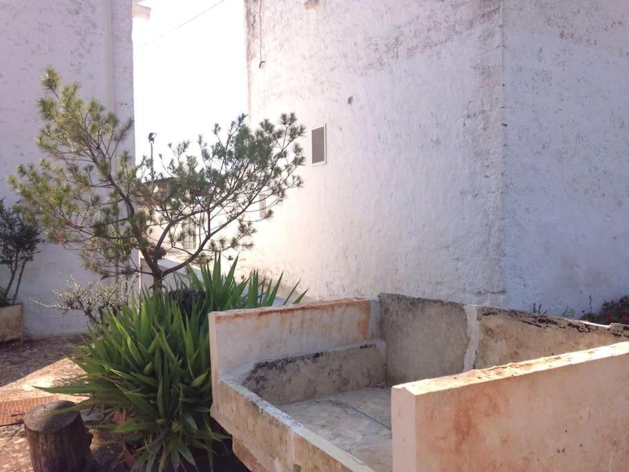 فيلا Casa Stella Nell'Aia تْشيستيرنِنو المظهر الخارجي الصورة
